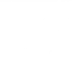 Middle East Intelligence logo